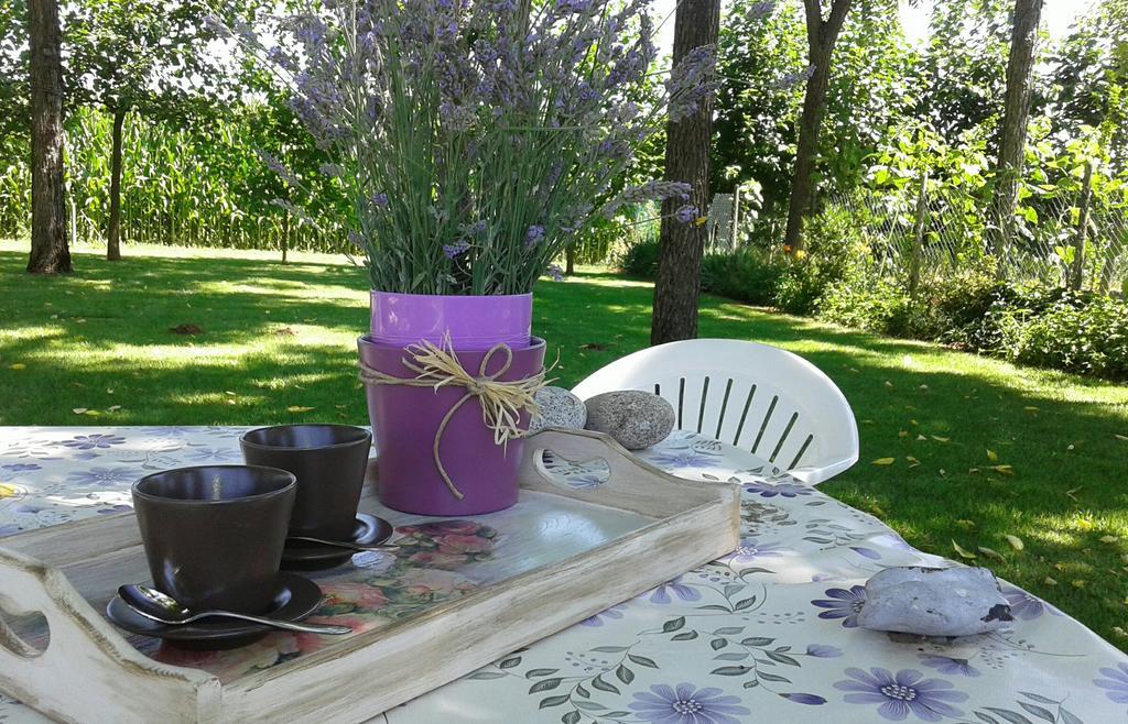 B&B Borgo Arcadia Poiana Maggiore 외부 사진